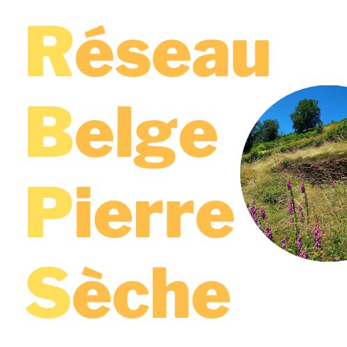 Réseau Belge de la Pierre Sèche